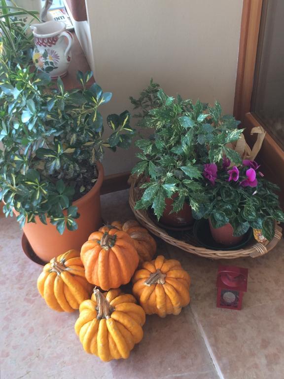 Agriturismo Crocerone Bassano del Grappa Kültér fotó
